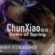 春晓Dawn of Spring