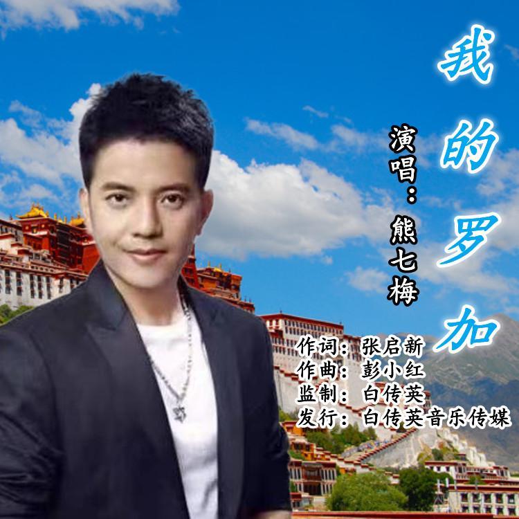 我的罗加