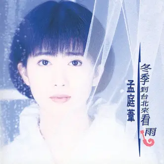冬季到台北来看雨- 孟庭苇（亚亚，陈秀玫，Mai Meng） - 专辑- 网易云音乐