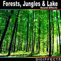 Forests, Jungles & Lake Sound Effects