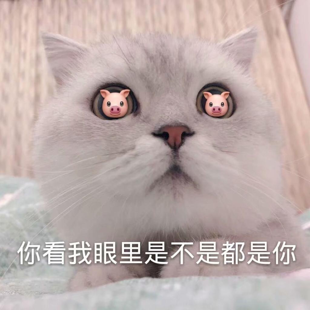 可樱(๑•̀ㅁ•́ฅ)