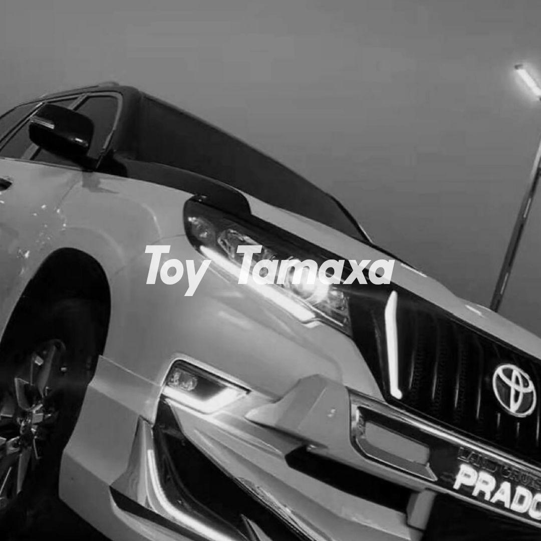 toy tamaxa（伴奏）新版（Original Mix）