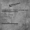 Granulart Compilation #05专辑