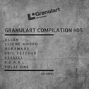 Granulart Compilation #05专辑