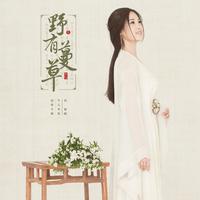 刘智晗-野有蔓草 原版立体声伴奏