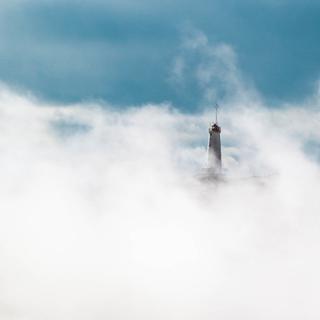 抒情