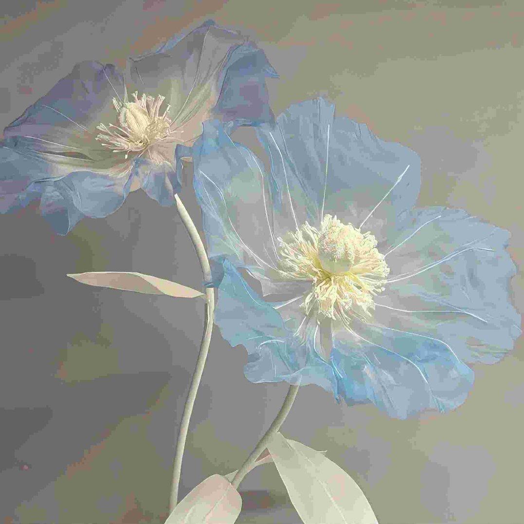 内心丰盈者 独行也如众（独善其身或许就是最 好的状态）