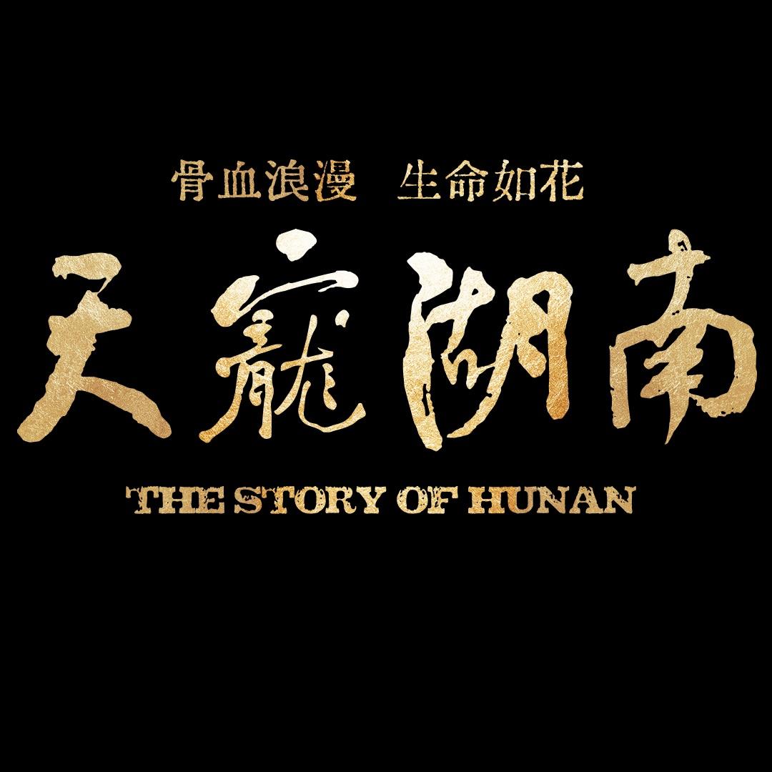天宠湖南