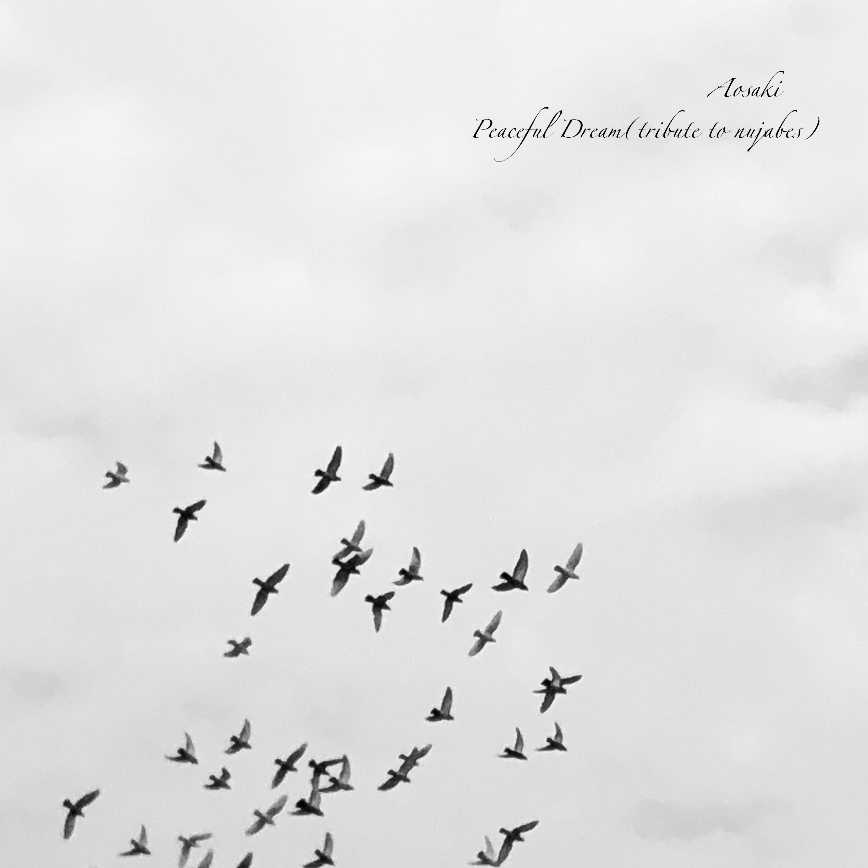 Peaceful Dream(tribute to nujabes)
