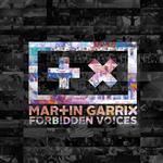 Forbidden Voices (Jake Liedo Remix)