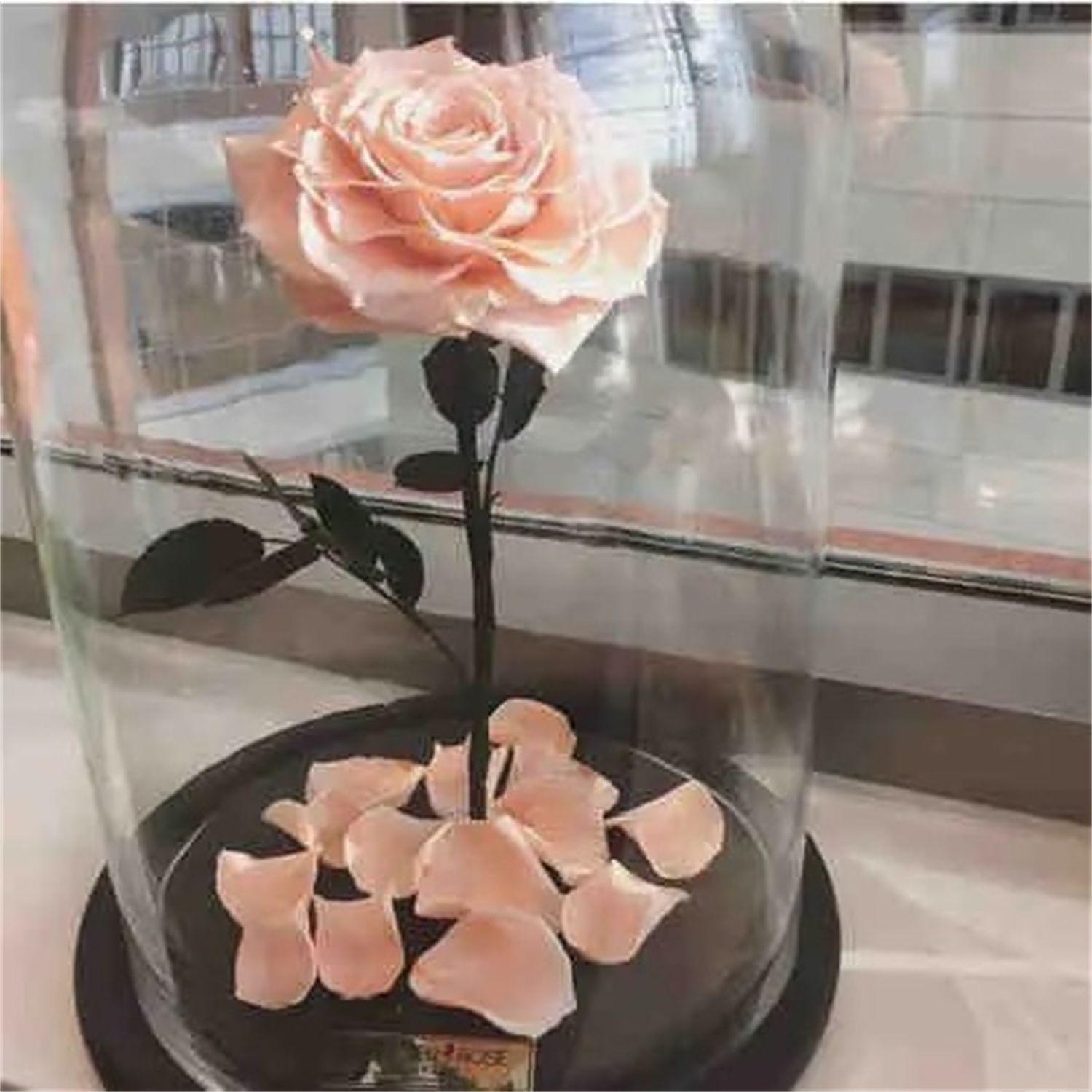 醉酒笑红尘