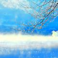 [Free]Midwinter Sadness