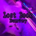 Lost Book