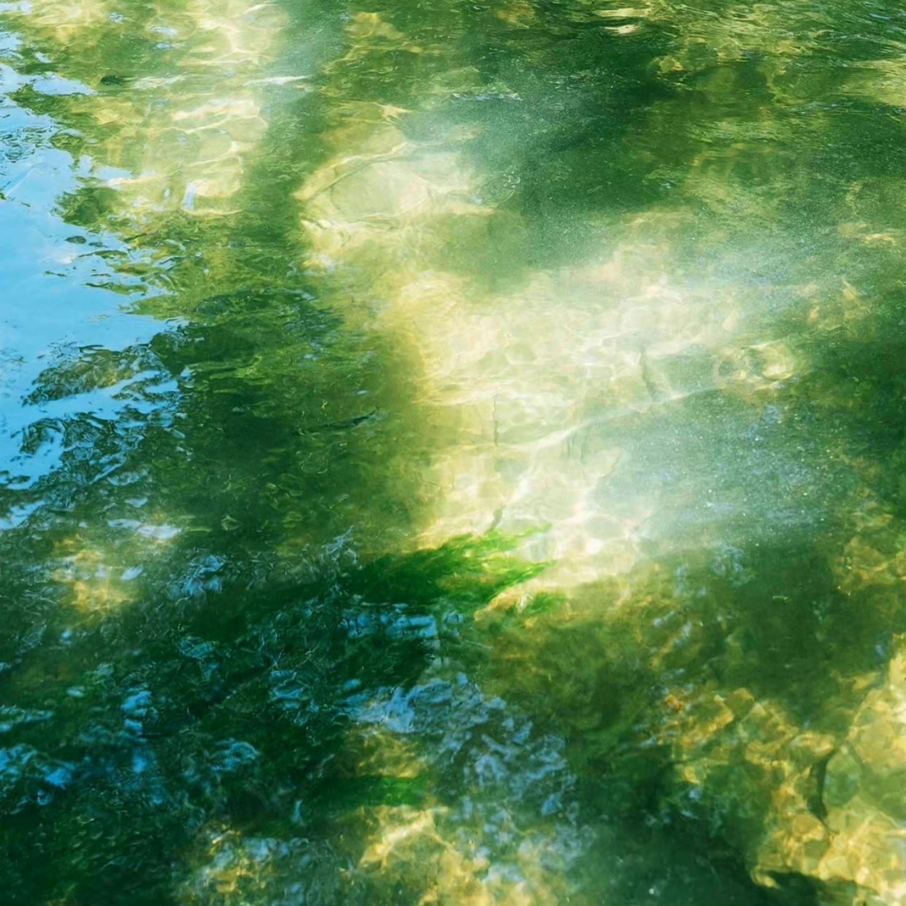 夏溪