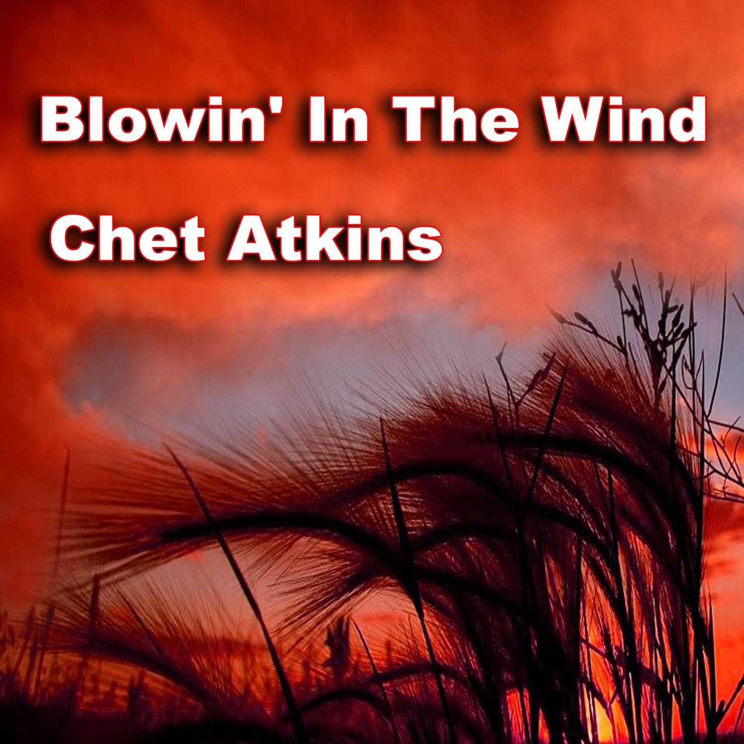 Blowin' in the Wind