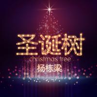 原版伴奏 圣诞树 - 杨栋梁 (  )