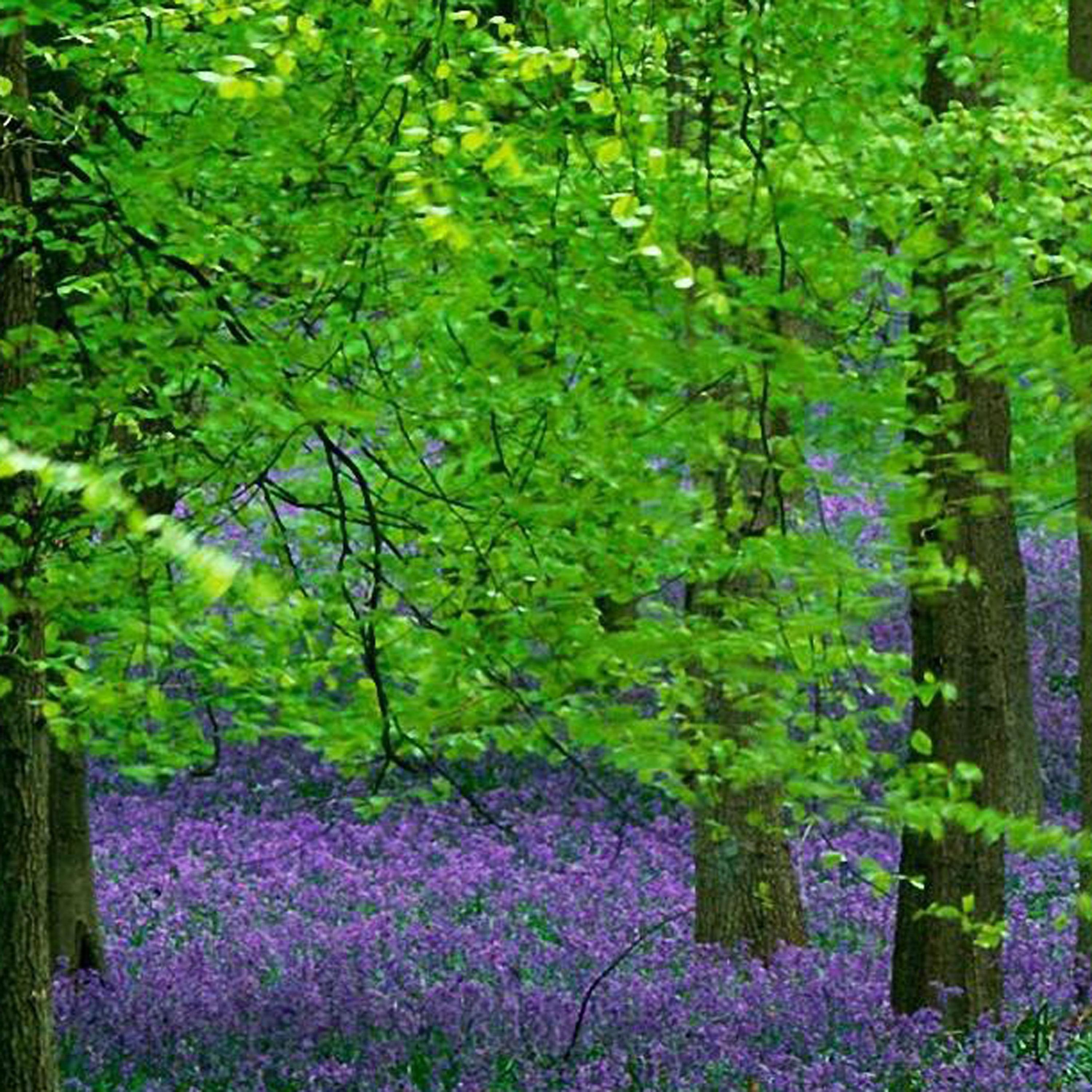 画一个帅哥陪着我