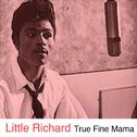 True Fine Mama专辑