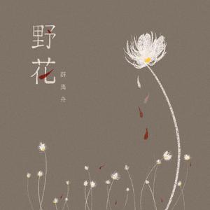 王蓉-野花  立体声伴奏 （降8半音）