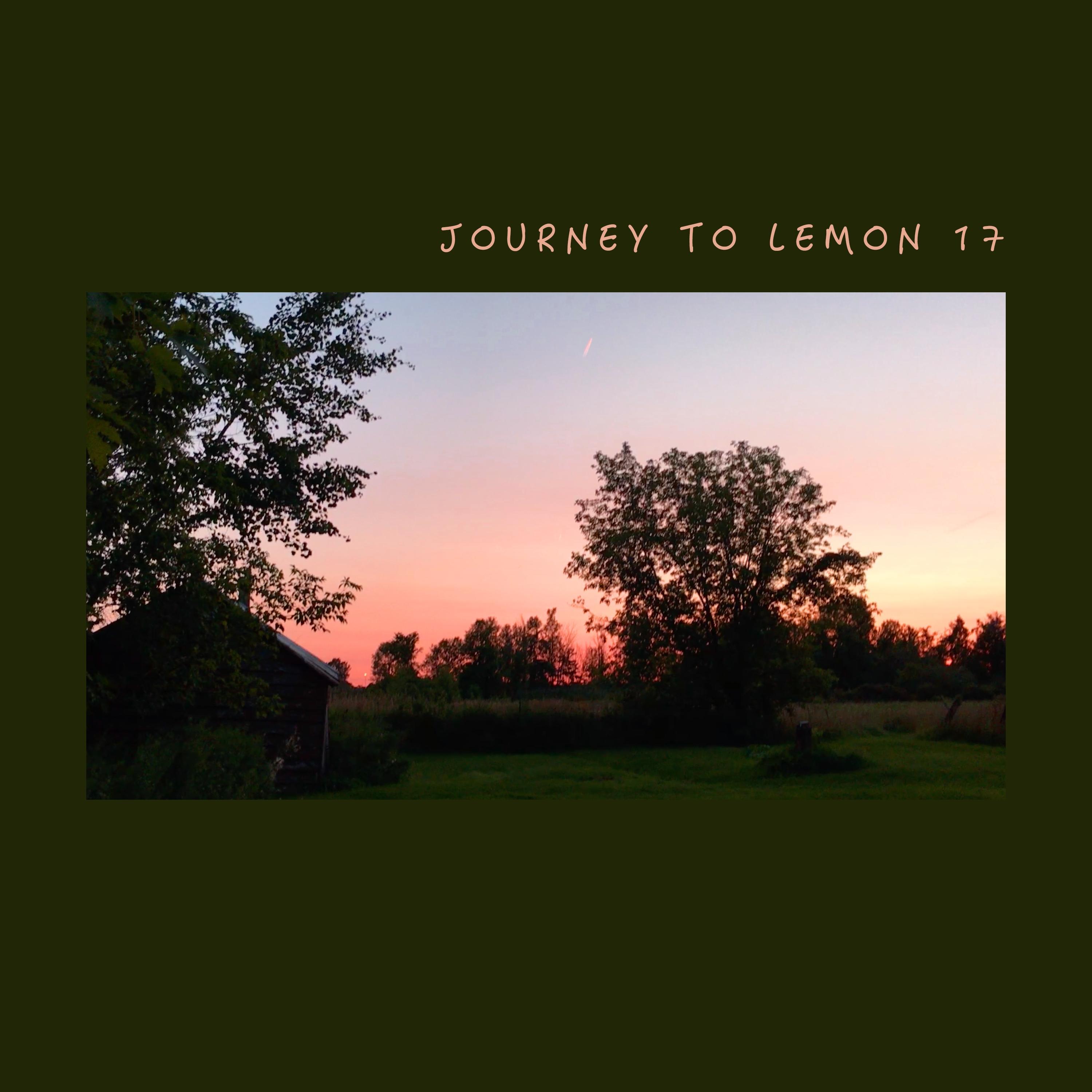 Journey to Lemon 17