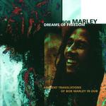 Dreams of Freedom: Ambient Translations of Bob Marley in Dub专辑