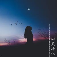 美好的夜晚（伴奏）