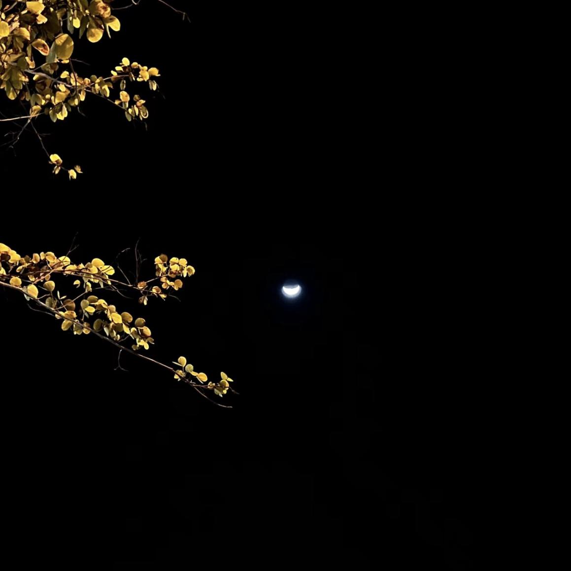 red moon .