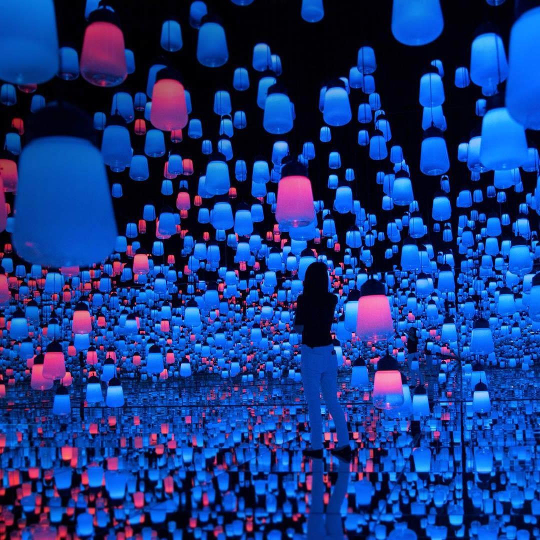 Never Coming Back Piano Ver.动画《紫罗兰永恒花园》插曲（翻自 群星）