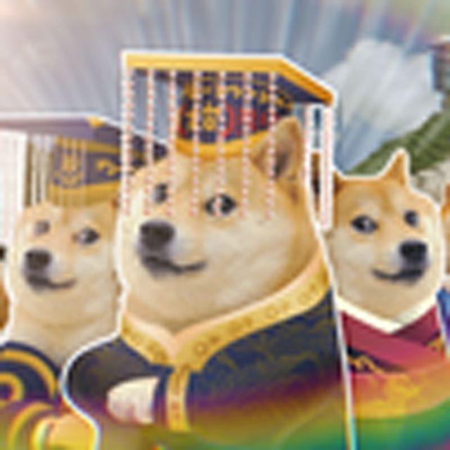 崭新的道途
