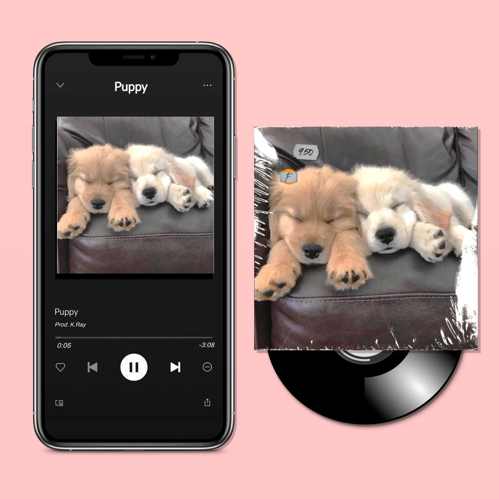 [免费]钢琴吉他R&B情歌类型Beat | Puppy |（Prod.K.Ray）