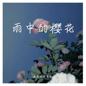 pro - 雨中的樱花(伴奏).mp3