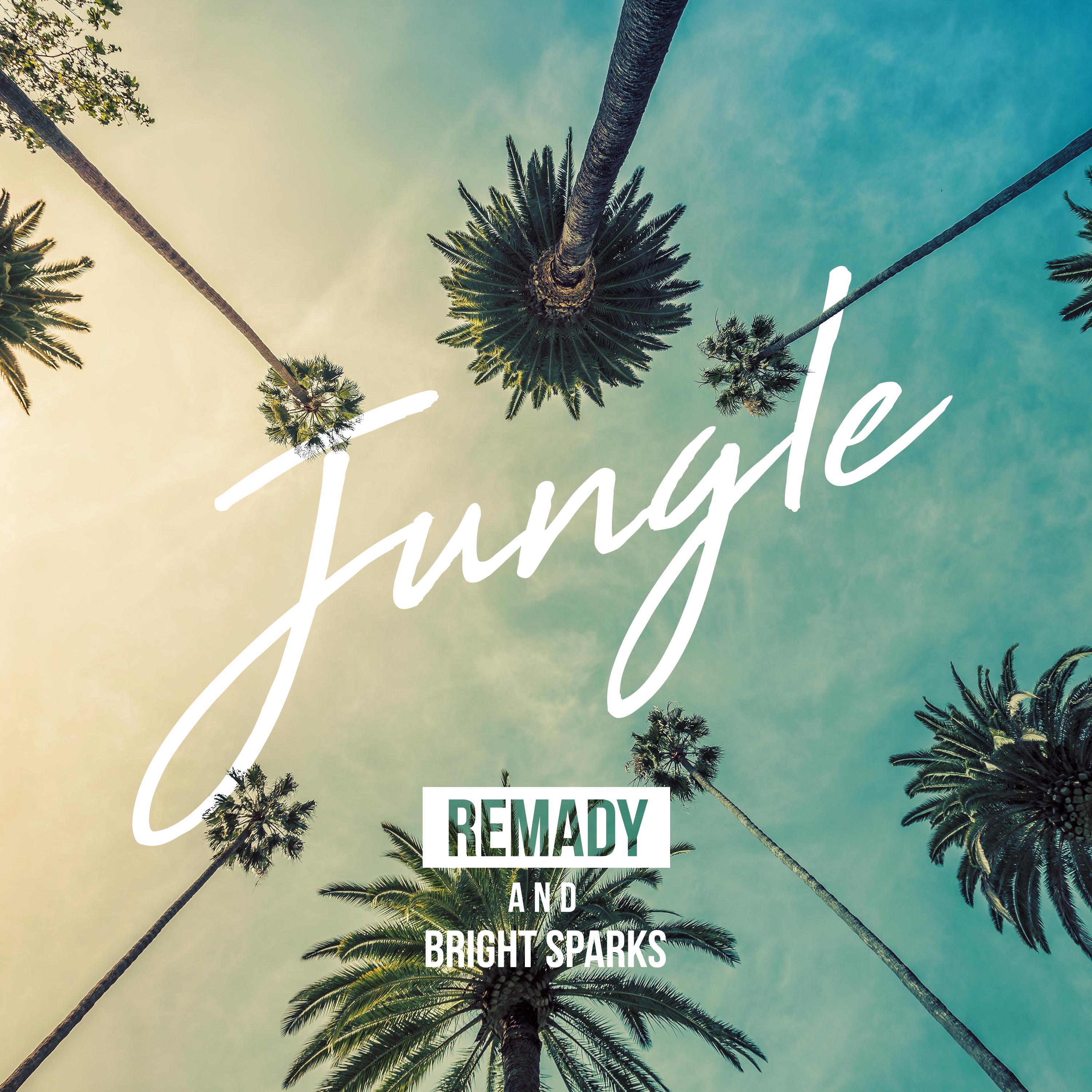 Remady - Jungle
