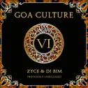 Goa Culture, Vol. 6专辑