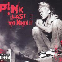 Pink - Last To Know ( Unofficial Instrumental )