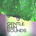 Gentle Rain Sounds