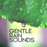 Gentle Rain Sounds专辑