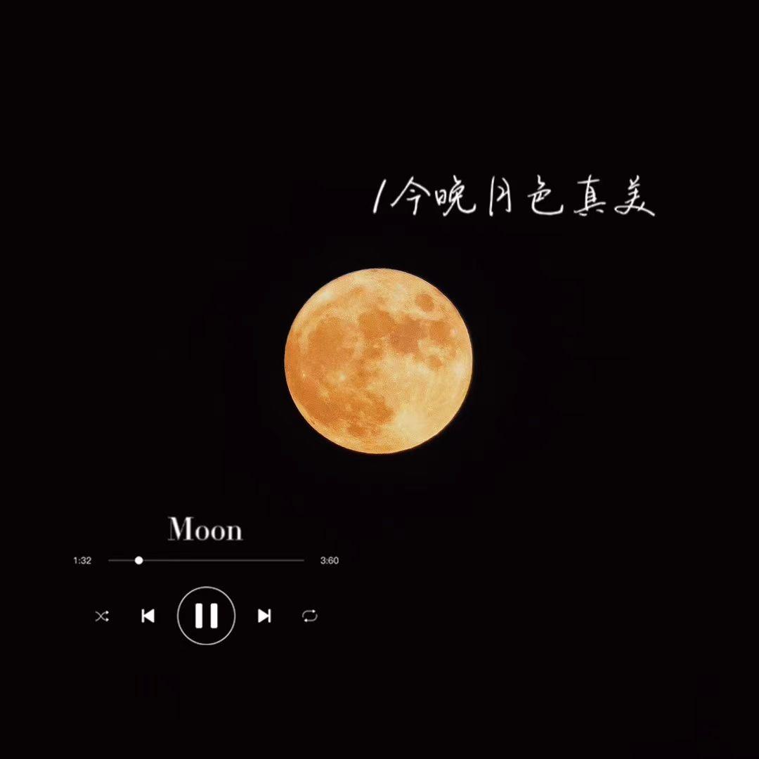 月亮代表我的心