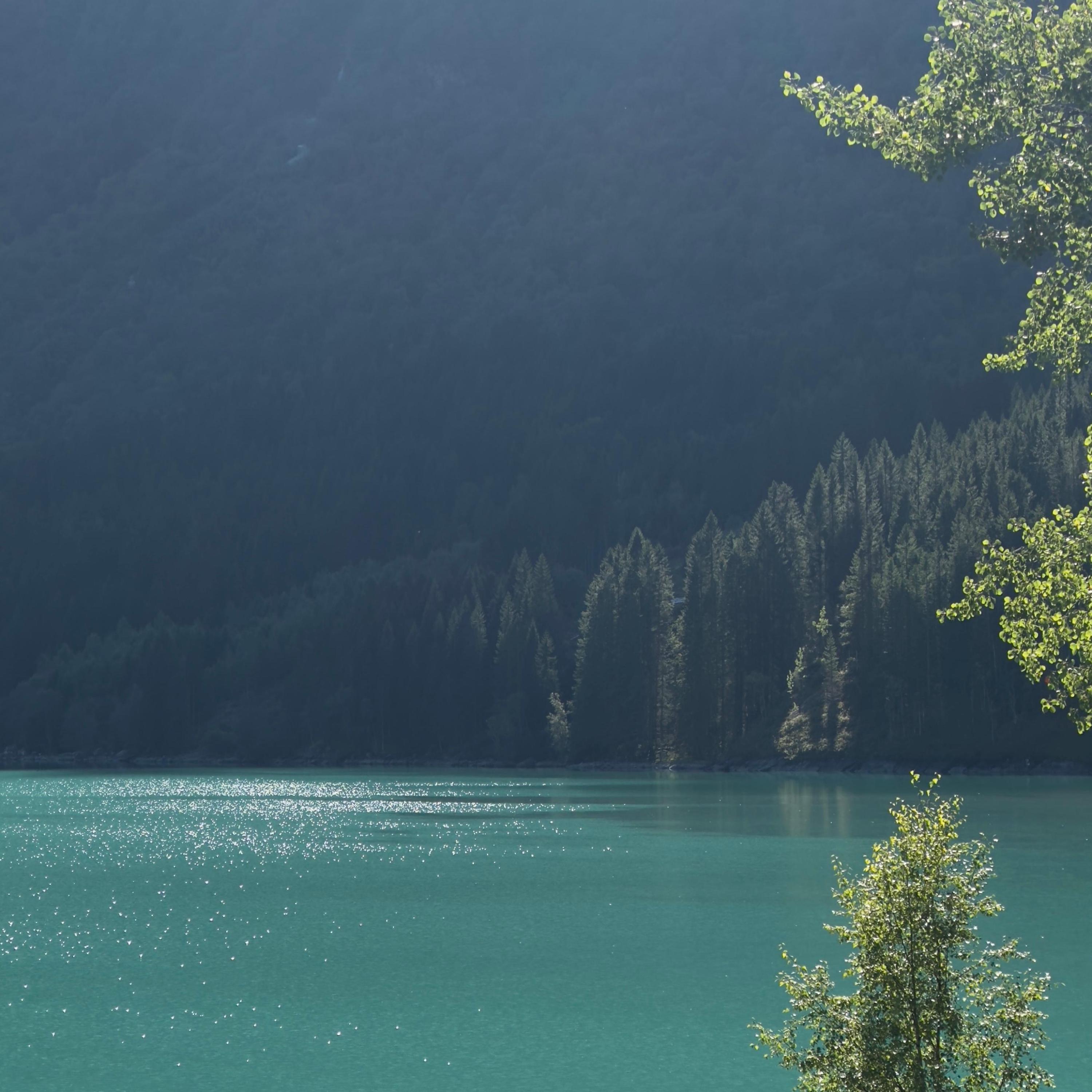 u never cared for it anyway