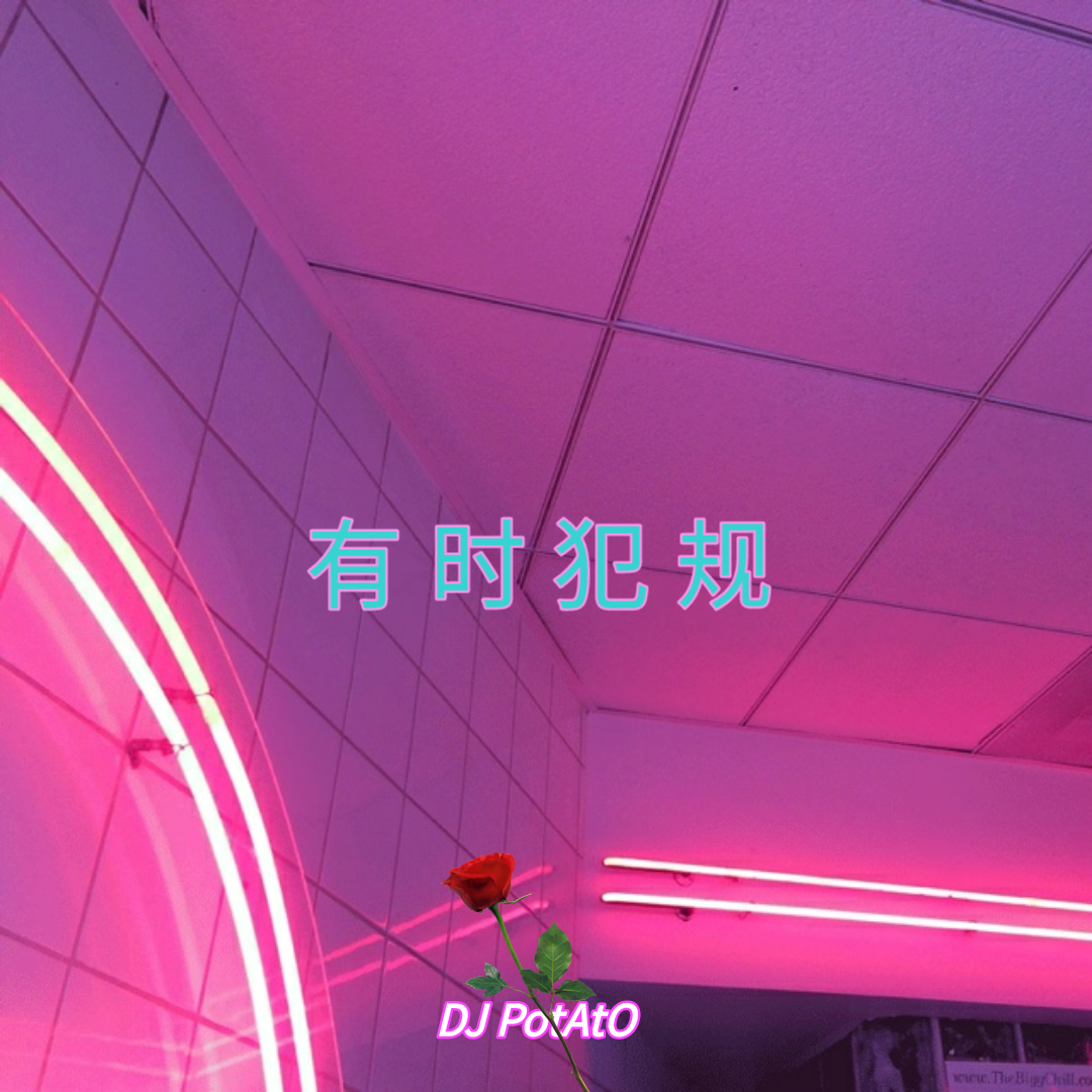 有 时 犯 规（DJ PotAtO Edit）专辑