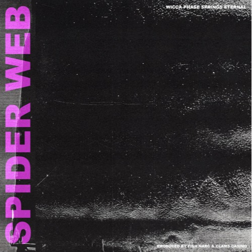 SPIDER WEB专辑