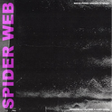 SPIDER WEB专辑