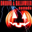 Horror & Halloween Sounds专辑