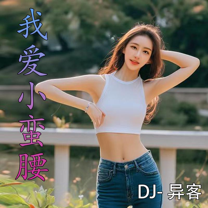 DJ异客 - 我爱小蛮腰 (伴奏)