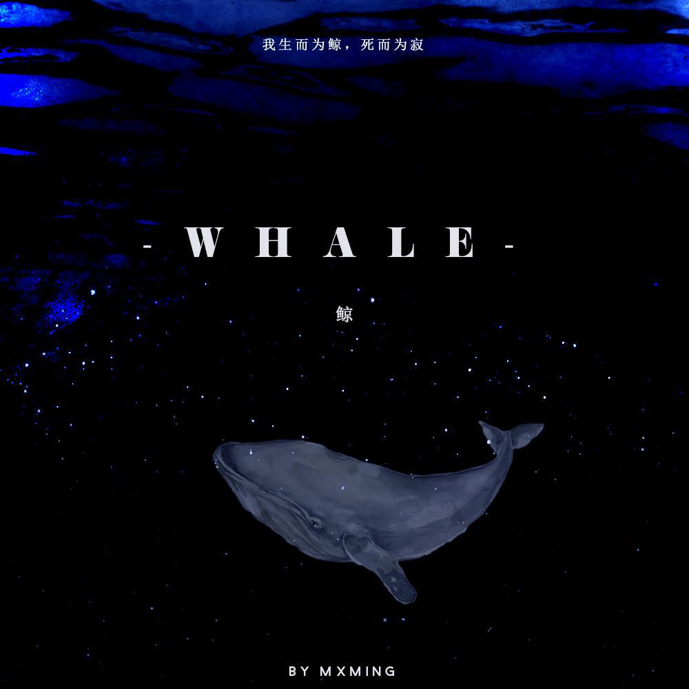 鲸（whale）专辑