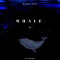 鲸（whale）