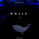 鲸（whale）专辑