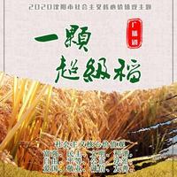 我们是中国人(不是原版不上传)