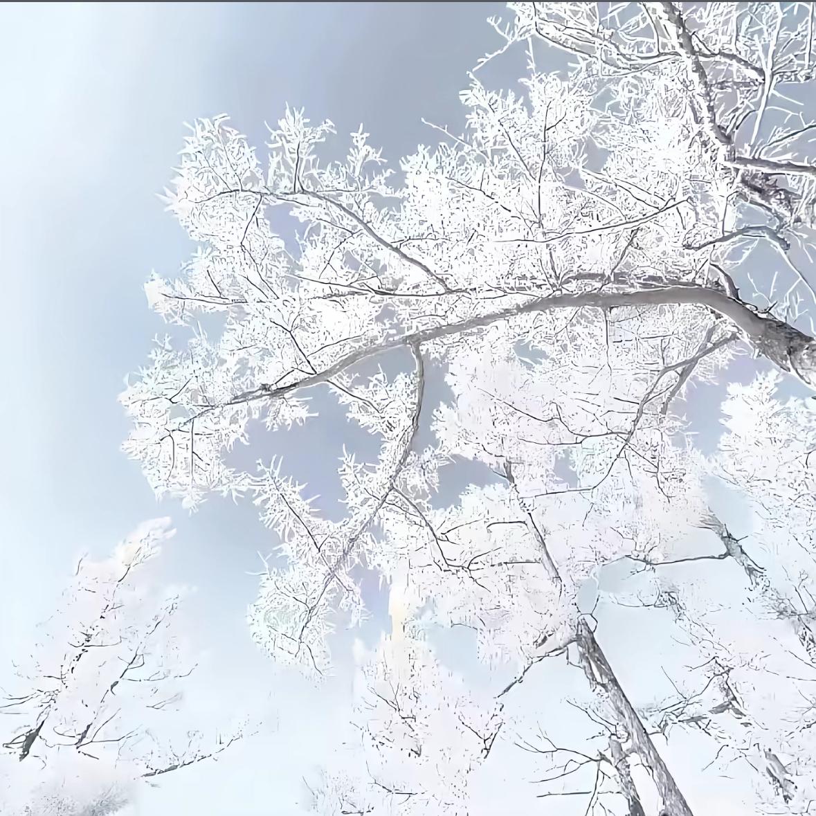 给好运一点时间 | 在线播放 | 网易云音乐