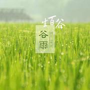 谷雨（Cover 桑葚上的猴子）