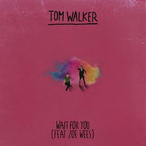 Wait for You - Tom Walker (Karaoke Version) 带和声伴奏 （升2半音）